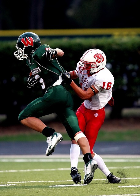 不仅展示了 不仅展示了