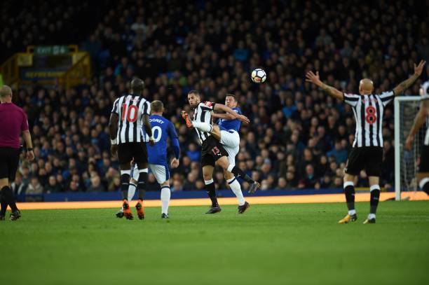 再到本土球 再到本土球